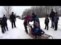 Treetops Dog Sledding Rides Treetops Dog Sledding Rides