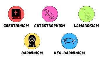 All of Evolution Explained in 8 Minutes