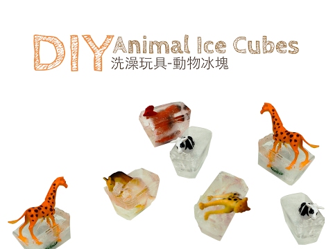 DIY 自製洗澡玩具 動物冰塊 DIY Animal Ice Cubes