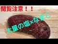 【閲覧注意】なまこを大量の塩の中に入れたら大変な事になった！！しかもめっちゃ美味！！