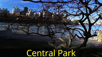 CIS 141 Video Project