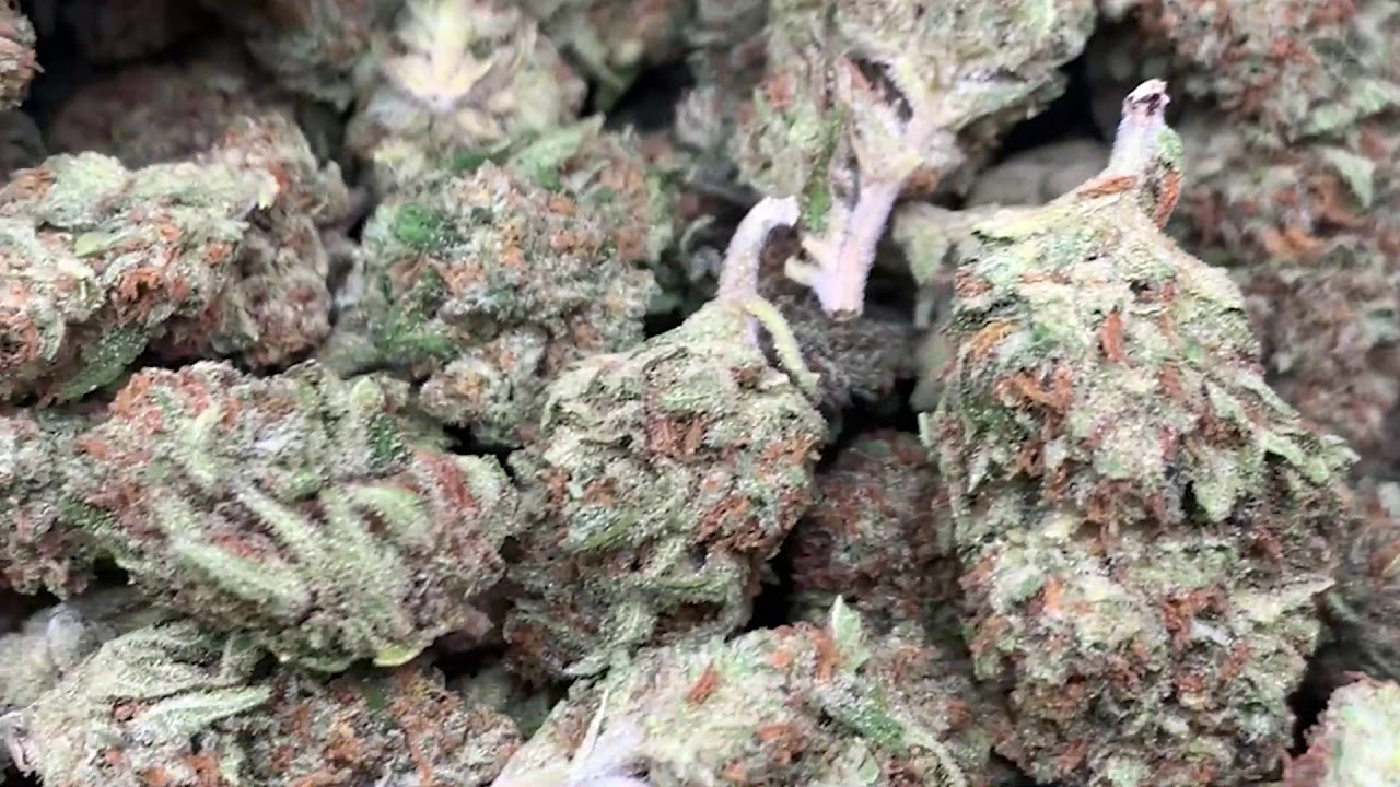 Passion Orange Guava