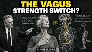 The Real Way to Rebuild Strength After 70 Using This 1-Minute 'Vagus Switch'