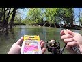 Creek Fishing for TROUT with PINK WORMS