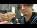 【ブチギレ】4thGASライブ反省会