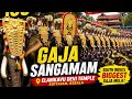 Gaja Sangamam 🐘 | South India’s Biggest Elephant Gathering at Elamkavu Devi Temple 🔥