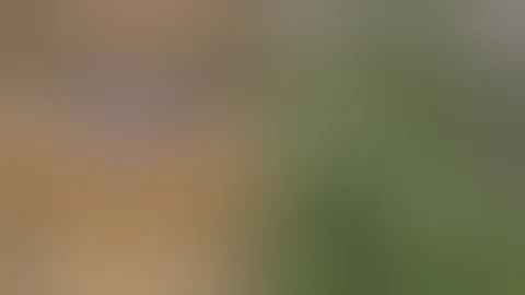 mars hydro grow tent review and honest thoughts.