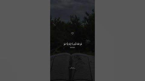 لو انزلنا هذا القرآن ماهر المعيقلي قران كريم أرح سمعك 🤍 #اكسبلور #دويتو #لايك #راحة_نفسية