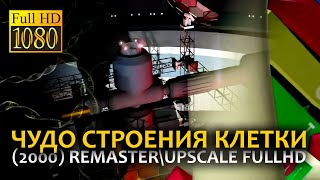 Чудо строения клетки (2000) | Remaster\Upscale FullHD