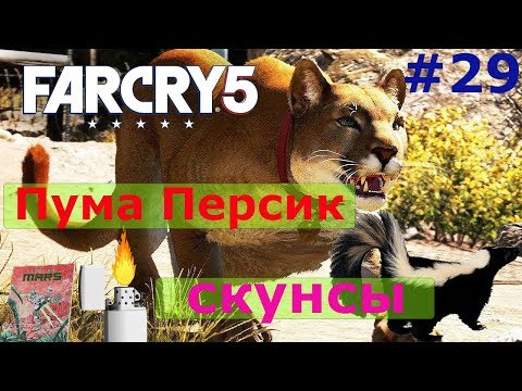 Персик Far Cry 5 и скунсы.