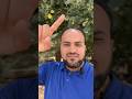 الخبيز الساحلى التيسبيسيا     زراعة نباتات داخلية