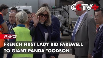 French First Lady Bid Farewell to Giant Panda "Godson"