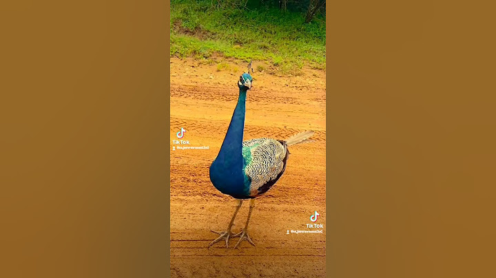 funny natural  මේ දිනවල සමාජ මාධ්‍ය වල trending photo එක .........😂😂😂😂😂😂😁😁😁😁