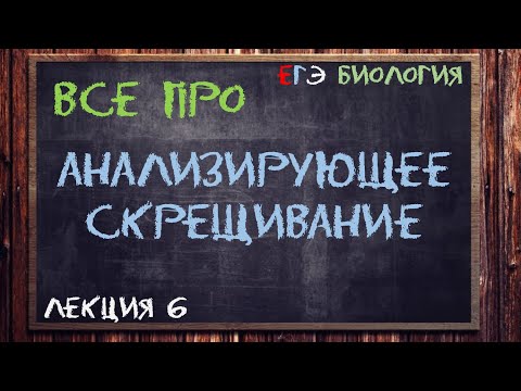 Л.6 | АНАЛИЗИРУЮЩЕЕ СКРЕЩИВАНИЕ | ГЕНЕТИКА | ОБЩАЯ БИОЛОГИЯ ЕГЭ