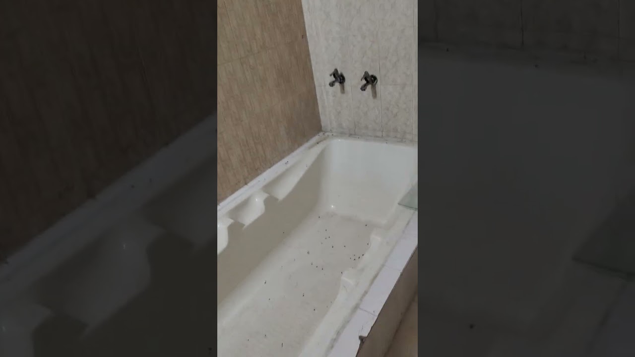 only 75lac  me Sehore  city me ultimate location or ultimate villa size duplex mahakal property mp