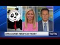 A concussed panda replaces Steve Doocy on Fox & Friends