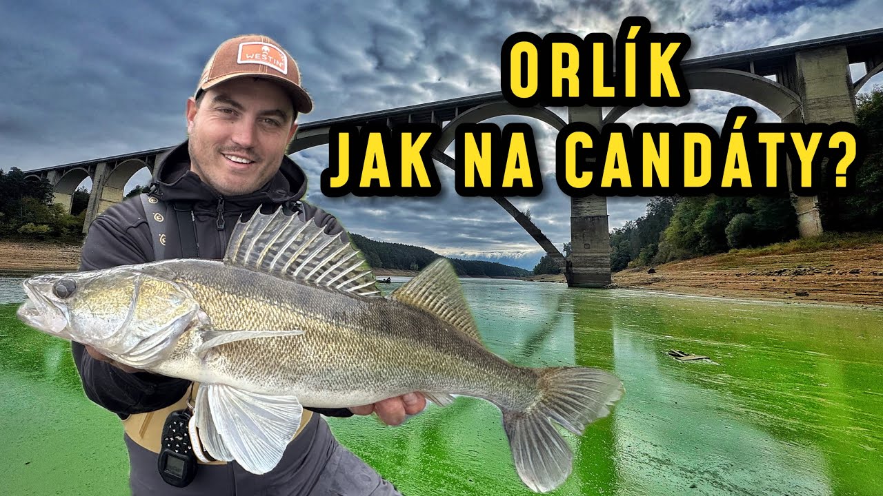 ORLÍK CHYTÁNÍ CANDÁTŮ POD ŽABINCEM 🐸🎣 NECHÁPALI JSME KOLIK RYB V NĚM ŽIJE!
