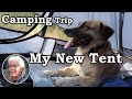 Will It Work? Wild Camping With My Dog Timo (testing the new tent)