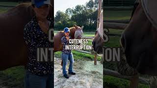 What’s your horse’s favorite scratches? #horse #farm #equestrian #horsegirl #horseriding