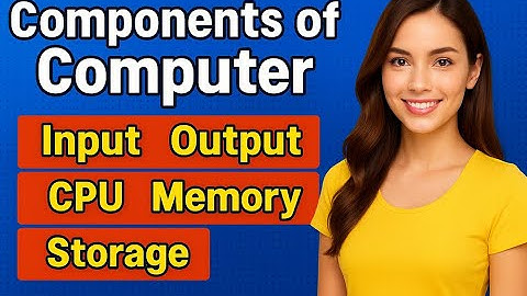 Components of Computer Hardware Software | Input, Output, CPU, Memory, Storage Explained in Hindi