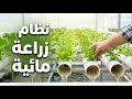 كيف تبني نظام زراعة مائية في البيت 