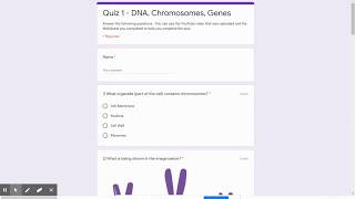 Quiz 1   DNA, Chromosomes, Genes screenshot 4