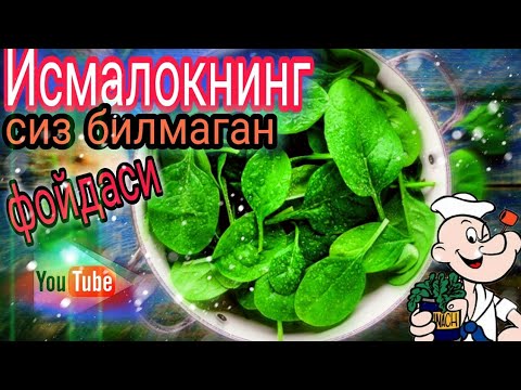 Video: Salomatlik Uchun Ismaloq