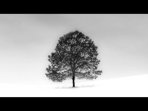 Dantic - Goodsin -Speed Up-