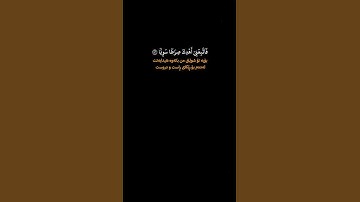 قران كريم ارح قلبك وسمعك #رزكار_الكردي #قران_في_دقيقة #quran #قرآن #المصحف @قران_في_دقيقة