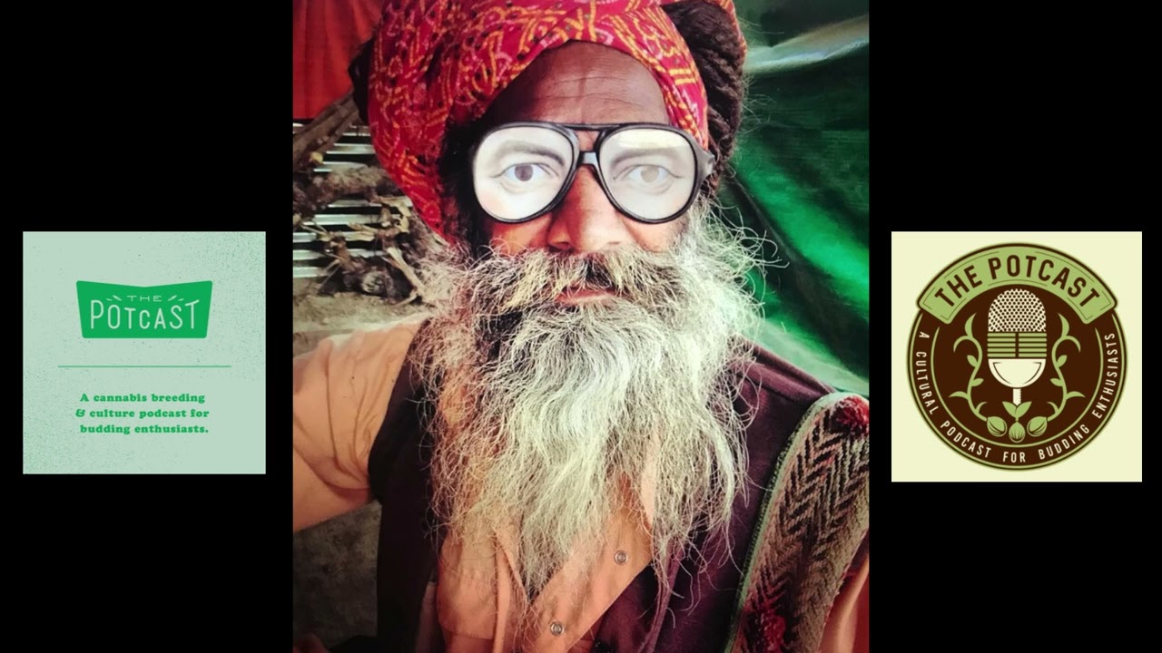 Episode 100.66 ft Bodhi of Bodhi Seeds / Yab-Yum / Supernatural Selections / Nierika - The Pot Cast