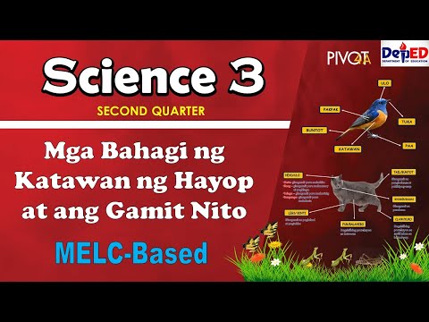 Mga Bahagi ng Katawan ng Hayop at ang Gamit Nito |w/ Activities and Answer Key| SCIENCE 3| QUARTER 2