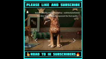 Upcoming Companion Pubg Mobile & Bgmi New Dog Companion Upcoming Leaks And Update #shorts #bgmi