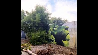 Graffiti lion by Falko Fantastic Graffiti lion by Falko Fantastic