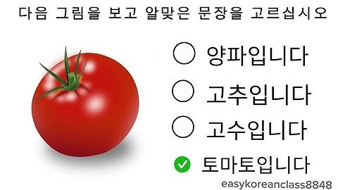 New Model Questions Part-25 | EPS TOPIK TEST KOREA 2023 | Korean Language Reading Test