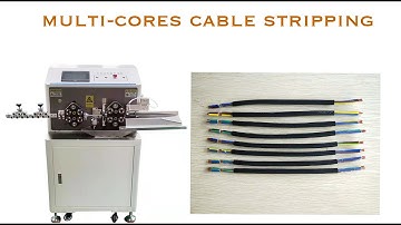 Automatic Cutting & Stripping Machine for Power Cable and Multi-Core Round Cable