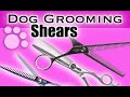 HOW to GROOM DOGS FASTER!