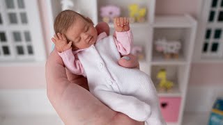 Daily Routine and Playtime with Miniature Silicone Reborn Baby Ellie