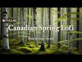 Spring Lofi Music 🌸 2 Hours | Focus &amp; Flow | Soft Piano · Jazz · Rain | No Ads | Vellum