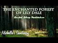 The Enchanted Forest of Lily Dale (With Thundersnow): A Sleep Story and Meditation for Grown-Ups