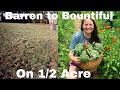 Suburban Homesteading On 1/2 Acre -  First Winter Tour - Can We Do It?