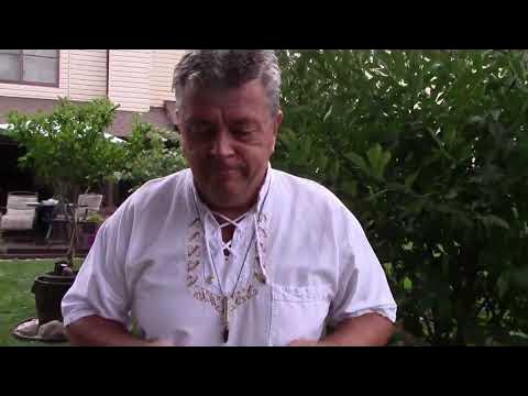 Никишин олег юрьевич академия природы фото