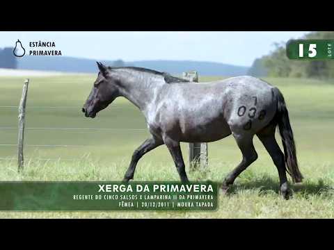 LOTE 15 - Xerga da Primavera