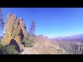 California Condor (Gymnogyps californianus) 463 Soars over High Peaks