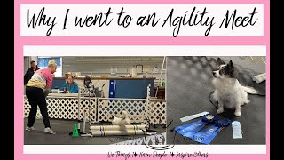 Why I Went To An Agility Meet! #dogtraining #agilitytraining #agilitymeet