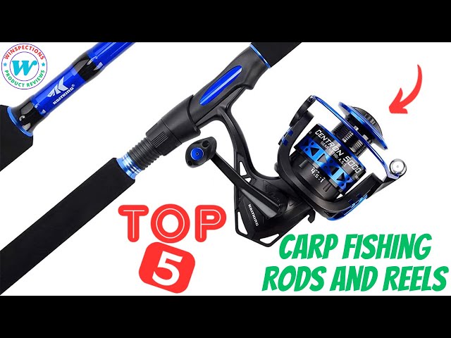 Best Carp Fishing Rods and Reels for the money 