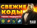 [ШОК] Персональный генератор промокодов Raid🔥Июнь 2023 🔥Промокоды Рейд шадоу легендс