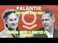 Palantir Stock PLTR : Deep Analysis and Financial Model : Intrinsic Value & Internal Rate of Return