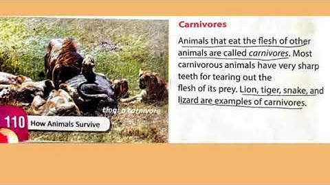 Class 4,Science, Chapter 10 How Animals survive(part 2)