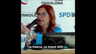 Zuzana Majerová - Europoslanec sám nic moc nezmůže, důležité jsou frakce v parlamentu