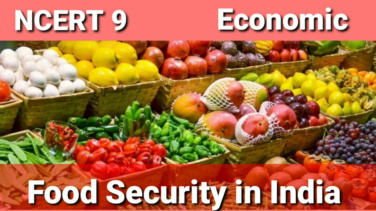 assignment on food security in india class 9